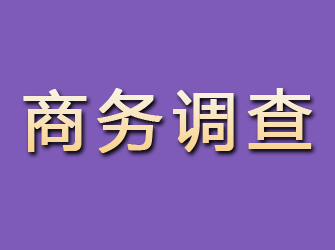 师宗商务调查